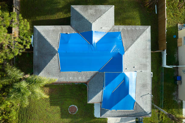Best Skylight Installation and Repair  in Dyersburg, TN