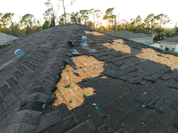 Roof Coating Services in Dyersburg, TN