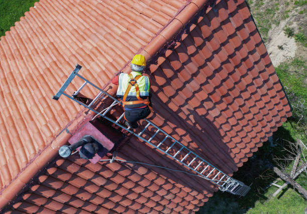 Best Roof Coating Services  in Dyersburg, TN