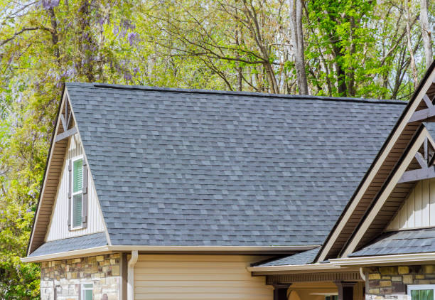 Best Chimney Flashing Repair  in Dyersburg, TN