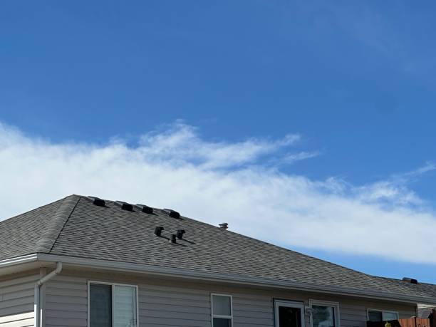 Best Cold Roofs  in Dyersburg, TN